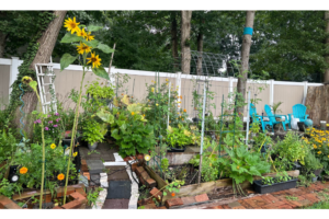 garden trellis