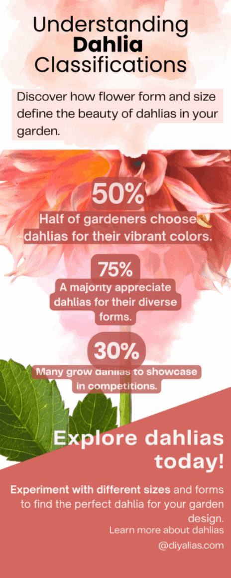 Infographic - Understanding Dahlia Classifications (2)