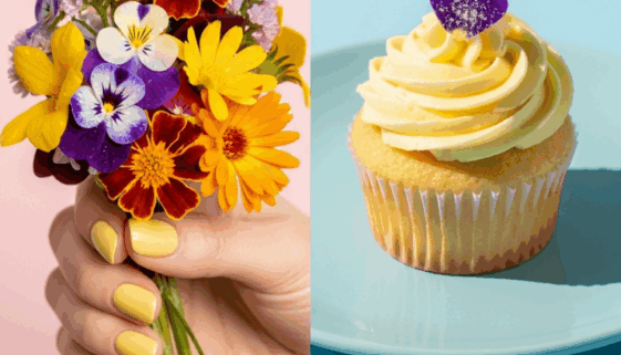 Cooking with Edible Flowers 1